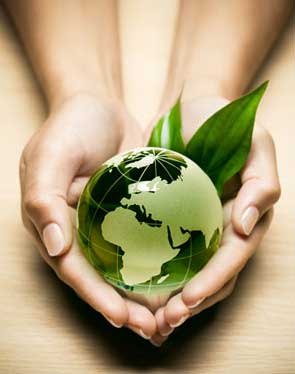 green_mainimg green_mainimg
